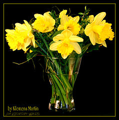 photo "Flowers"