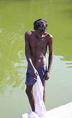 фото "indian series"