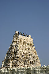 фото "indian series"