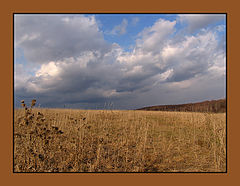 photo "before the first spring rain"