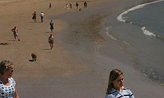фото "The beach"