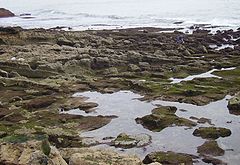 фото "Rock beach I"