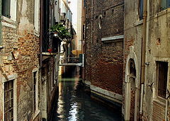 photo "Spring in Venice"