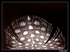 photo "()"