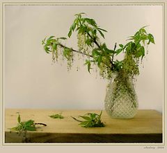 photo "Spring sketch"