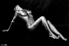 фото "Silver L"