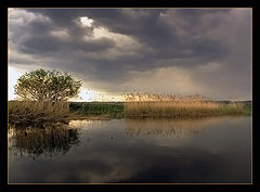 photo "Before the rain"