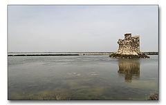 фото "A salty day"