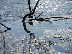 фото "Water."