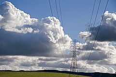 фото "the grid"