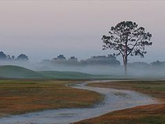 фото "Morning In May"