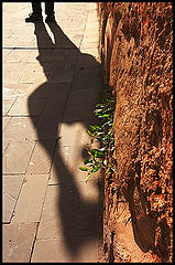 photo "The shadow has come  :)))"