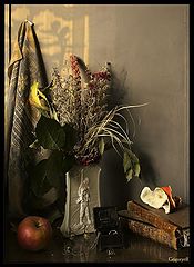 photo "Still life with orange skin"