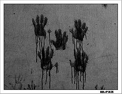 фото "5 hands"