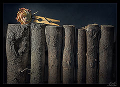 photo "And memory has remained"