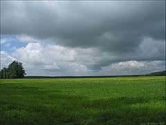 фото "перед дождем"