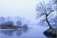 photo "***"