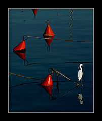 photo "***"