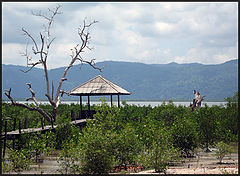 photo "Thai land"