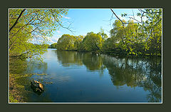 photo "***"