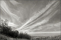 photo "Sky"