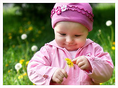 фото "Мой первый одуванчик (1)"