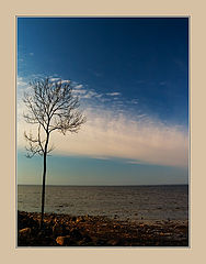 photo "***"