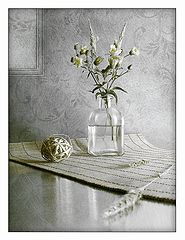 photo "***"
