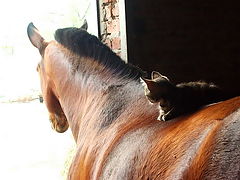 photo "Supervision"