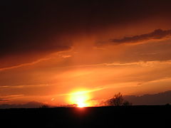 photo "***"