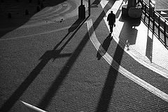 фото "Alone"