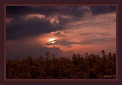 photo "***"