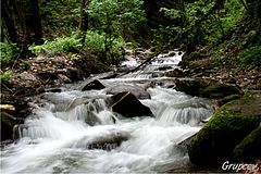 фото "Flow"