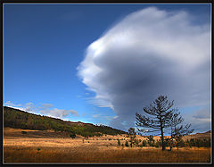 photo "Cloud"