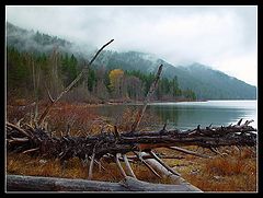 фото "Fall, Fog, Lake"