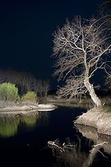 photo "***"