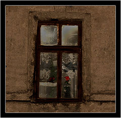 фото "Цветок.."