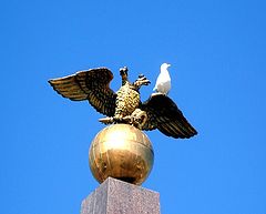 photo "2 birds with 3 heads"