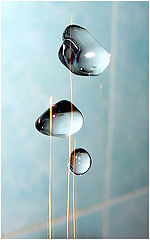 photo "Drop by drop"
