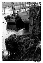 фото "Old Reflections"