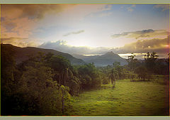 photo "Paintings 2"