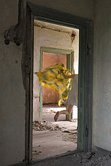 photo "There is joy in the old house yet"