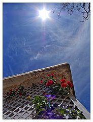 photo "el dia de sol"