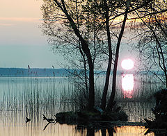 photo "Evening pastel"