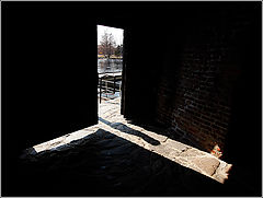 фото "InOut"