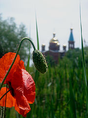 photo "***"