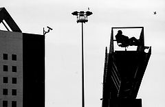 photo "Security"