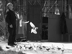 photo "If I could fly"