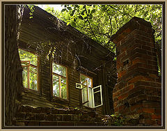 photo "Reflection of summer"