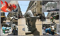 photo "CowParade in Lisboa"